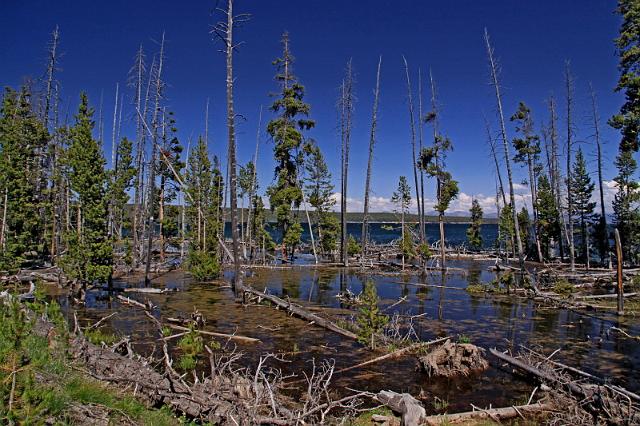 043 yellowstone, west thumb.JPG